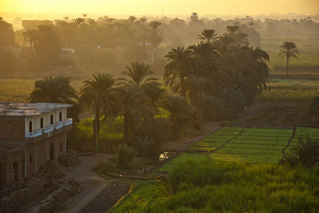 From Egypt to Palestine, agroecology as a weapon