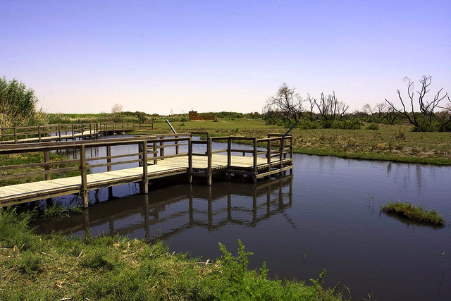 Rural Family Society wins international award for grey water project