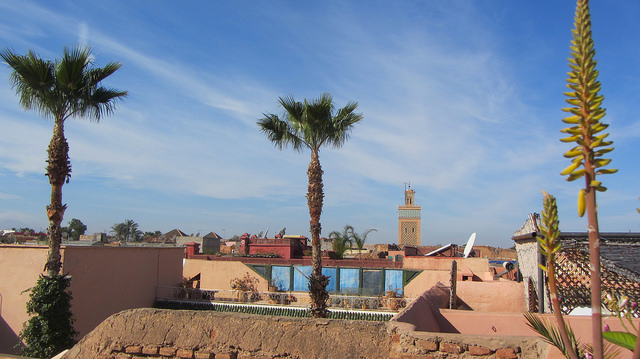 Morocco becomes IEA Association Country