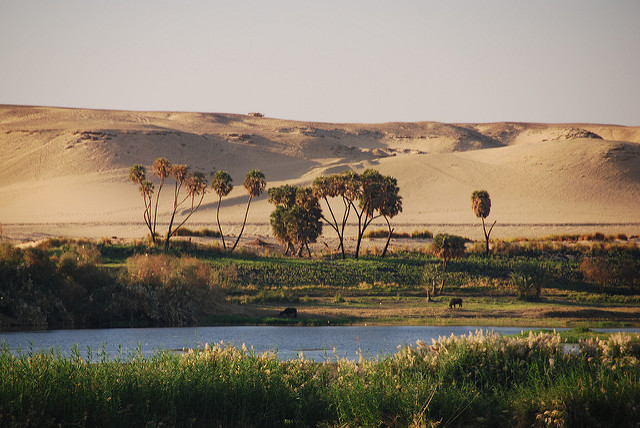 Addressing transboundary cooperation in the Eastern Nile through the Water-Energy-Food Nexus