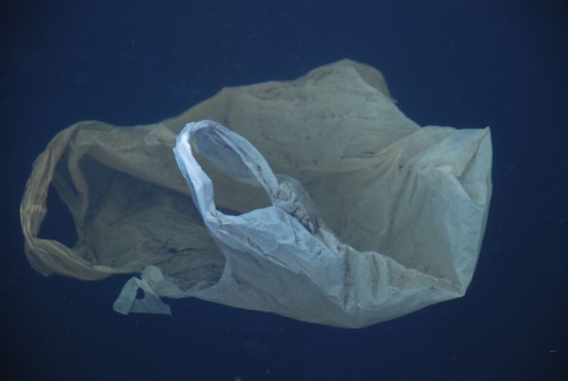 Morocco officially banned plastic bags