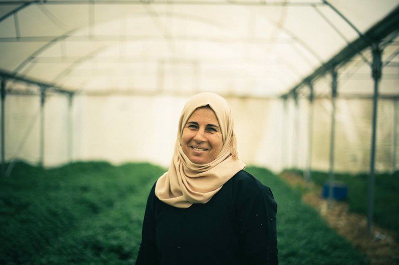 RUWOMED and the economic empowerment of women in rural Palestine and Lebanon