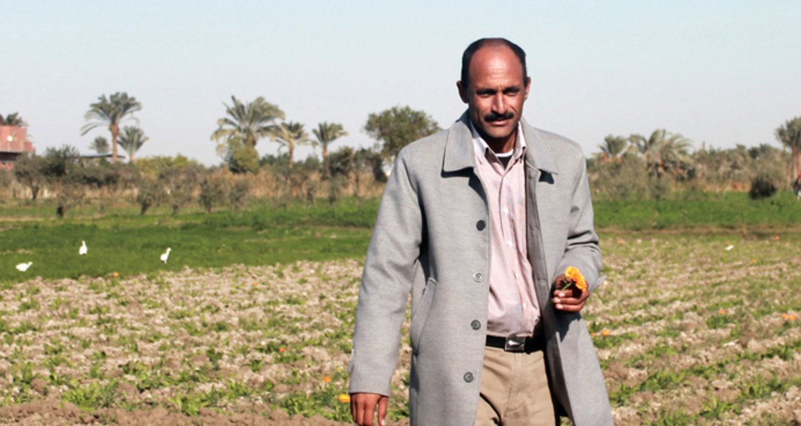 Responsibility, opportunities and challenges of agriculture in Egypt