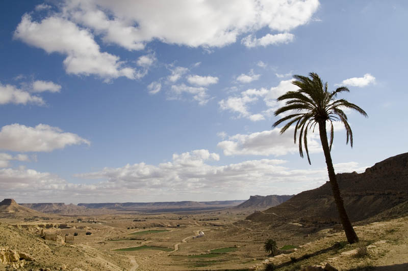 Tunisia-FAO: cooperation agreement to develop water-harvesting techniques