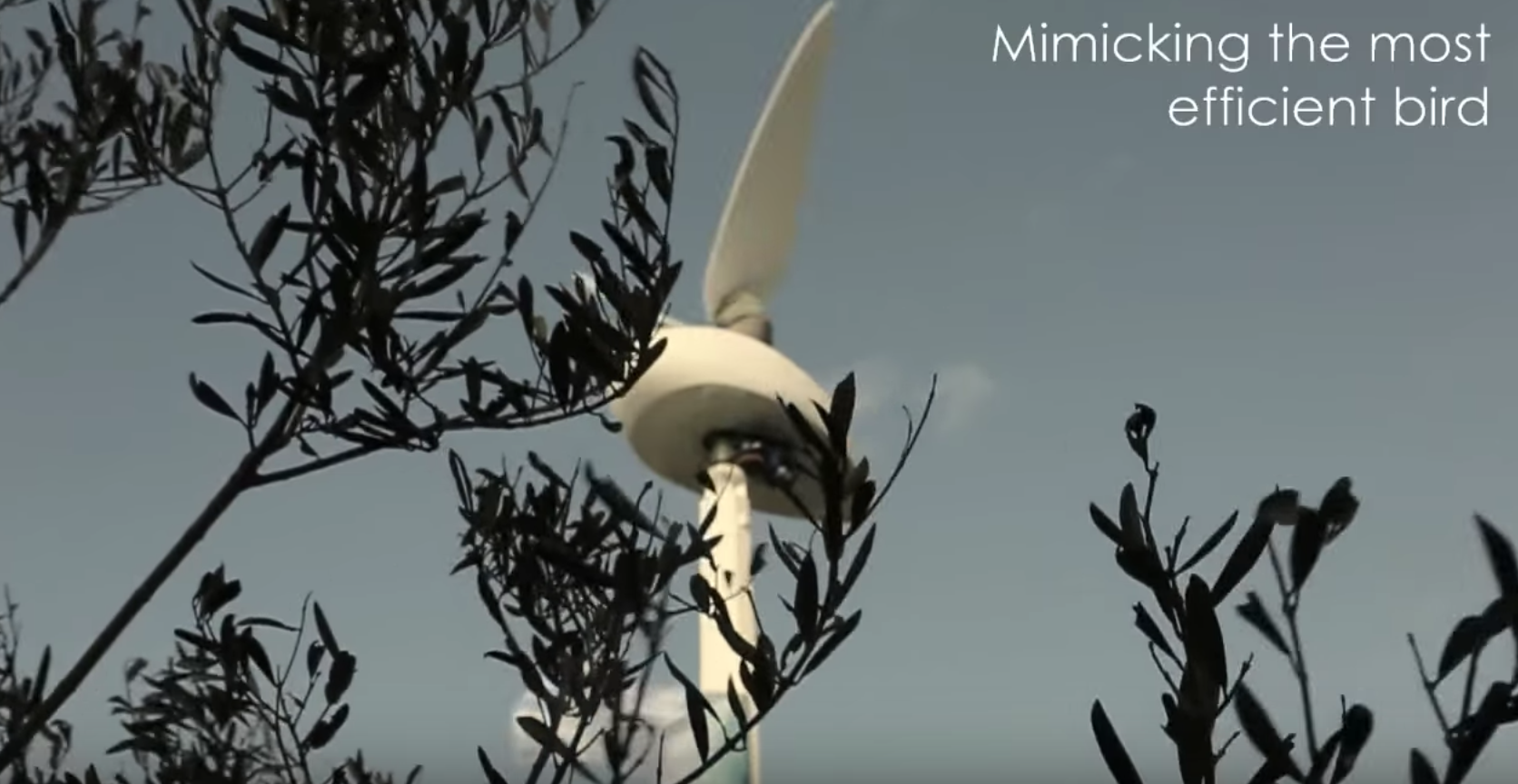 Revolutionary flapping wind turbine mimics hummingbirds