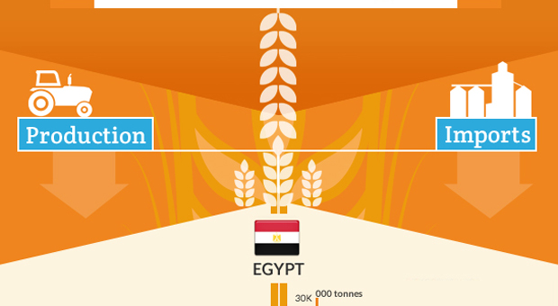 Cereal production and imports in the MENA region