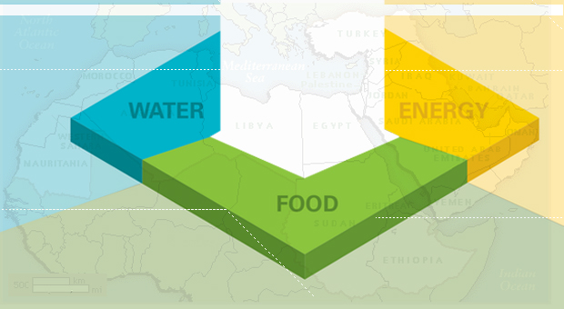 Water, Energy and Food Nexus in the Arab Region