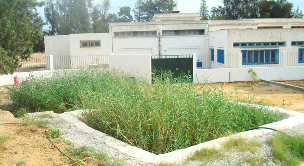 Water management in Tunisia:  the Technical Demonstration Centre