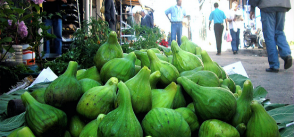 Algeria: valuing local products