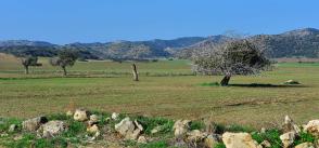 Cyprus: the green economy shows the way forward
