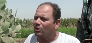 UN project in Egypt helps farmers improve food security