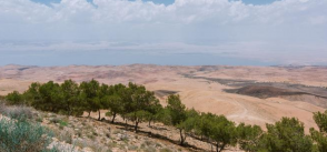 Holding back the desert in Jordan