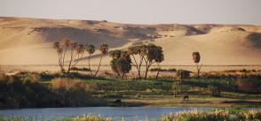 Addressing transboundary cooperation in the Eastern Nile through the Water-Energy-Food Nexus