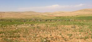 Jordan renewable energy: A new landmark in an ancient desert