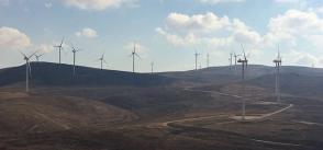 Assessment identifies steps to mitigate wind farms’ risks to wildlife