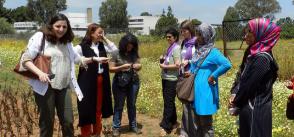 Empowering women scientists in MENA