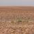 Water and sand: Is groundwater-based farming in Jordan's desert sustainable?