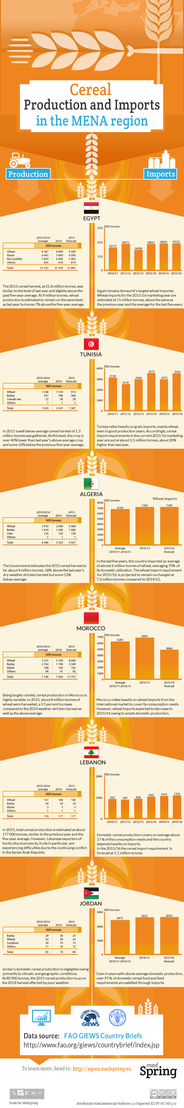 Cereal production and imports in the MENA region - infographic