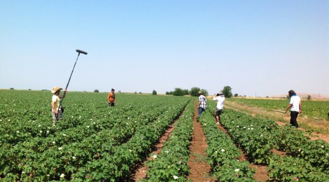 Farming on Crisis? | videoblog by Pavlos Georgiadis