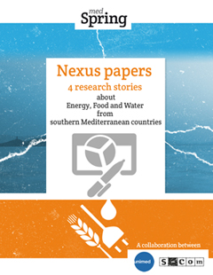 Nexus Papers | ebook cover
